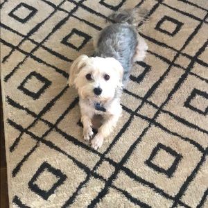 Meet your Posher, Jackie